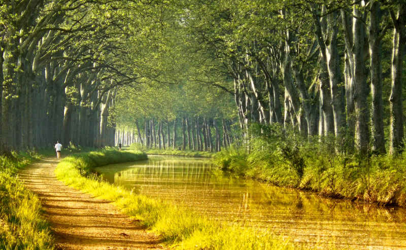 Early morning on the Canal du Midi, Capestang, Southern France